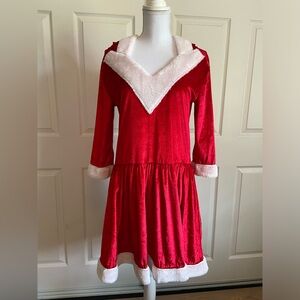Mrs. Claus holiday Christmas dress / costume